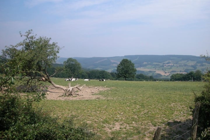  Ardennen