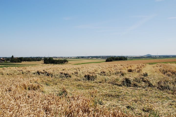  Hesbaye