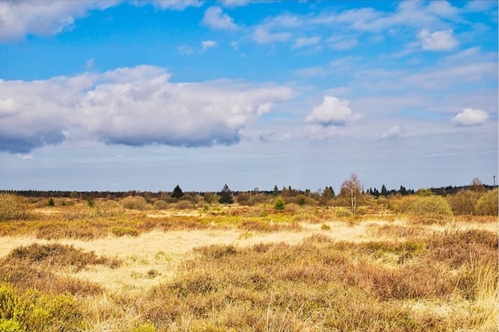  Hohes Venn