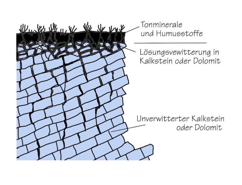 Bodenprofil eines Kalkmagerrasen