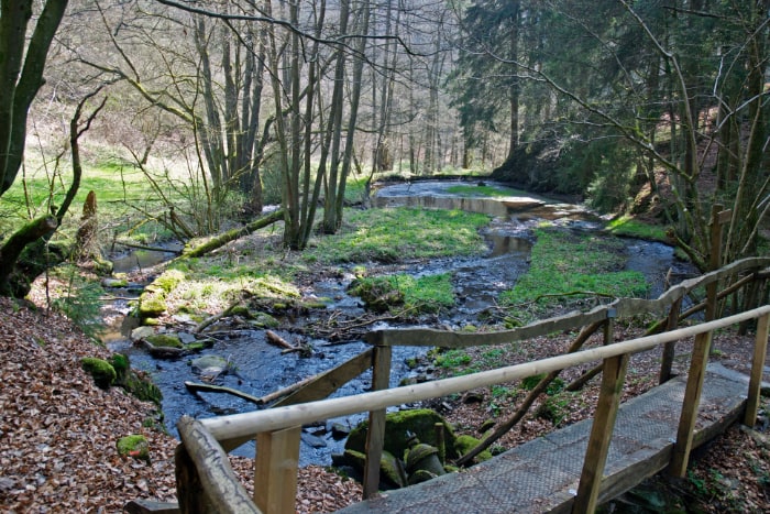  Am Belgenbach 
