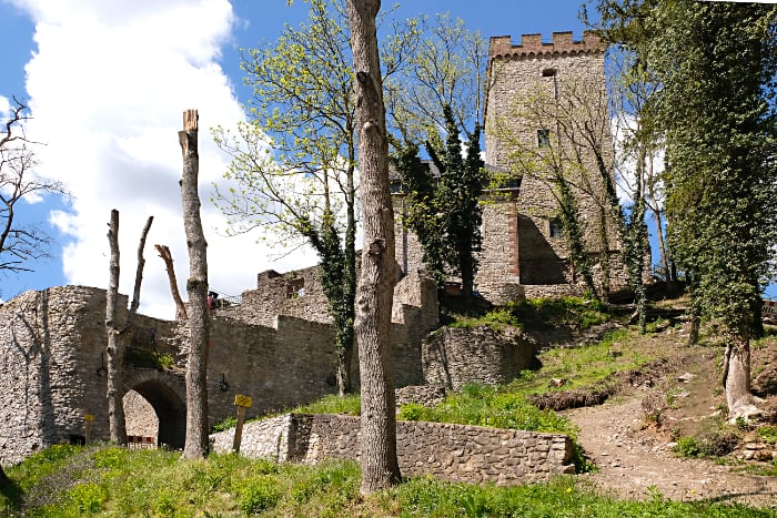  Burgruine Kerpen 