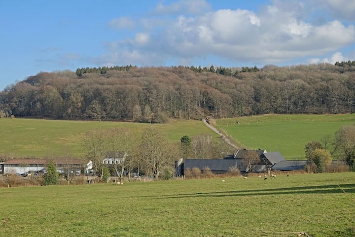  Dorbach-Tal und Friedrichwald 