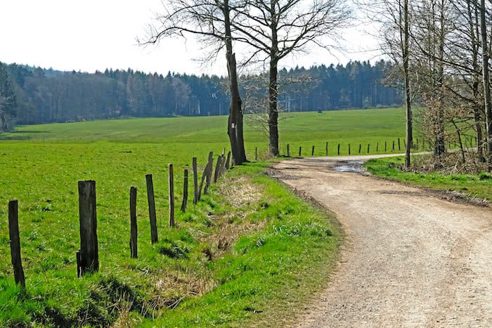  Venwegener Wald 